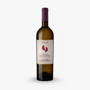 Vino bianco Irpinia Falanghina DOC Lila - Tenuta Cavalier Pepe