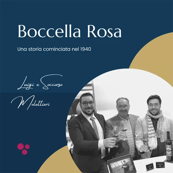 Compra i vini di Boccella Rosa online | Taurasidocg.com