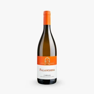 Campania Falanghina IGT Falanghina - Cantine Antonio Caggiano di Taurasi