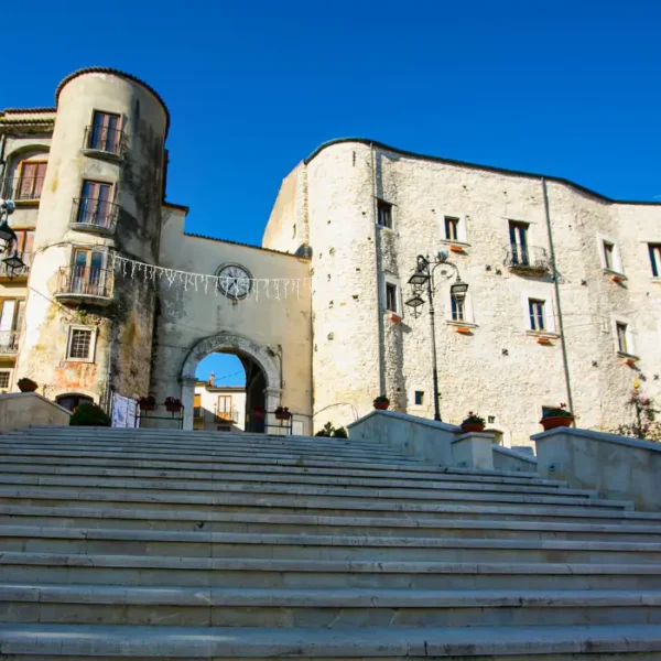 Vini di Taurasi al miglior prezzo dai produttori locali - Taurasidocg.com