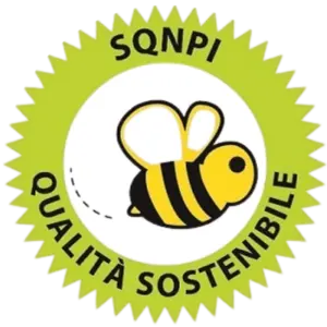 vini irpini campani Sistema di Qualita Nazionale di Produzione Integrata SQNPI - Taurasidocg.com